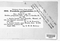 Image Associated With the Occurence